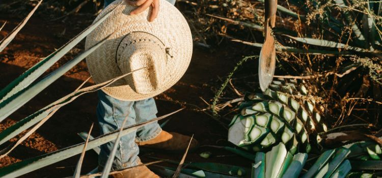 How to make a straw hat